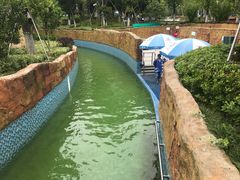 -苏州乐园森林水世界