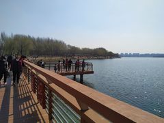 -丁香湖公园