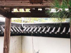 -东方艺术博物馆