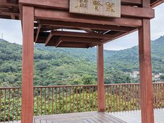 -银湖山郊野公园-相思林