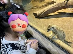 -苏州海洋馆