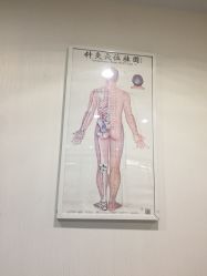 -赵大夫减肥