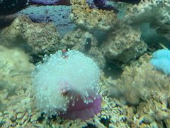 -泉州海丝野生动物世界