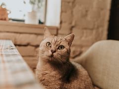 -不舍昼夜咖啡馆
