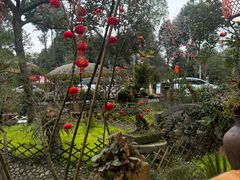 -青城甲(青城山店)