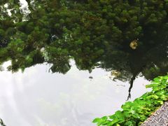 -拙政园