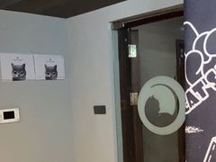 -梵猫·新养生(湛江鼎盛店)