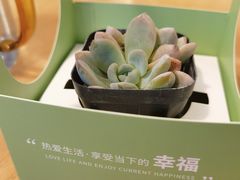-四季餐厅(大寺店)