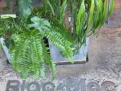 -Blac+Blac(中海环宇荟店)