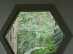 -海珠湖公园