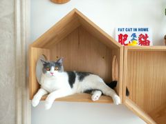 -Catmate·猫肥家润(金润铂宫店)
