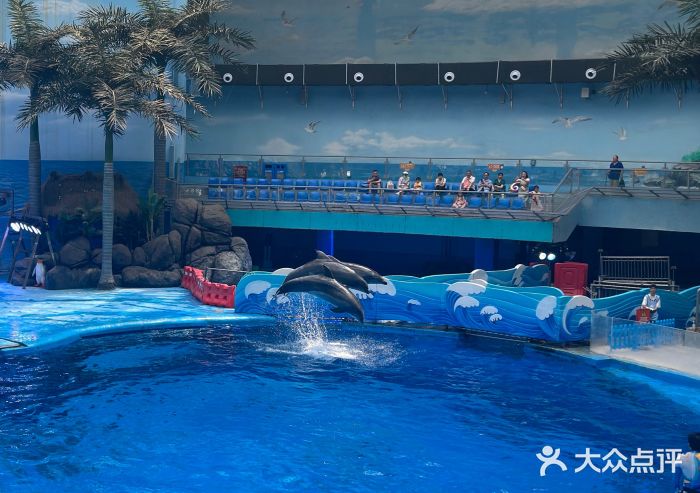 海合安成都极地海洋公园图片