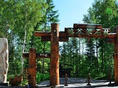 -峡谷浮石林景区