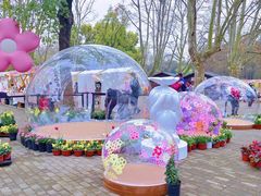 -上海共青森林公园