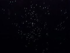 -怀托摩萤火虫洞