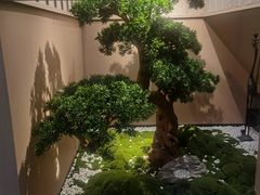 -鹤祥宫·影院足道·SPA连锁(苹果园店)