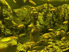 -北海海底世界