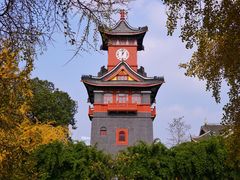 -四川大学(华西校区)