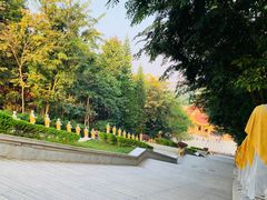 -西双版纳勐泐文化旅游区