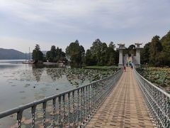 -东湖落雁景区