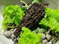 -曲廊院(东四十一条店)