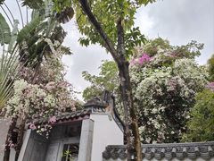 -深圳国际园林花卉博览园