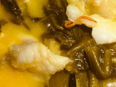 -蜀锦堂·川味现炒(襄阳武商汇店)