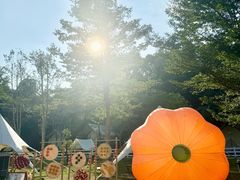 -云栖山谷野奢营地