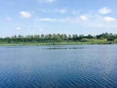 -溱湖国家湿地公园