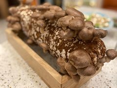 -椰子营·椰子鸡火锅(万象里店)