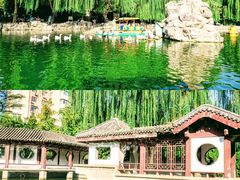 -团结湖公园