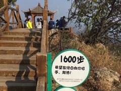 -大岭沟猕猴桃谷风景区