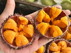 -连鹭海鲜·海肠捞饭·海胆饭(星海店)