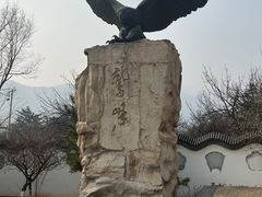 -北京鹫峰国家森林公园