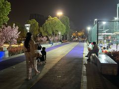 -南翔镇银翔湖公园