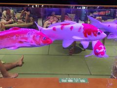 -大江户·温泉洗浴(浑南店)