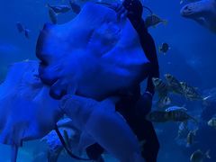 -左海海底世界