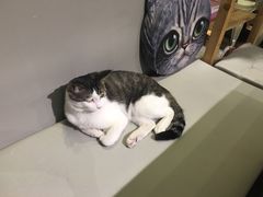 -小时光咖啡馆(开森度假森林店)