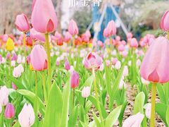 -成都市文化公园