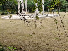 -合肥滨湖国家森林公园