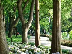 -杭州植物园