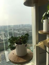 -久匠半永久纹眉