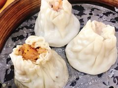 -召稼楼古镇