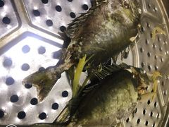 泥猛鱼-海大大蒸汽海鲜餐厅·粤菜·特色小炒(欢乐颂店)