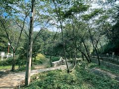 -大岭沟猕猴桃谷风景区