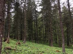 -硗碛藏寨·神木垒景区