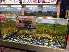 -顺德了能馆(虎门店)