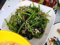虾酱空心菜-威海渔村(静安旗舰店)