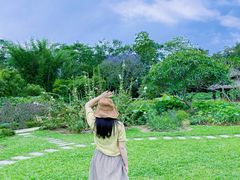-广西壮族自治区药用植物园