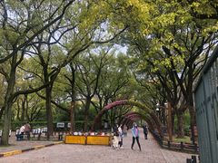 -共青国家森林公园-南大门停车场